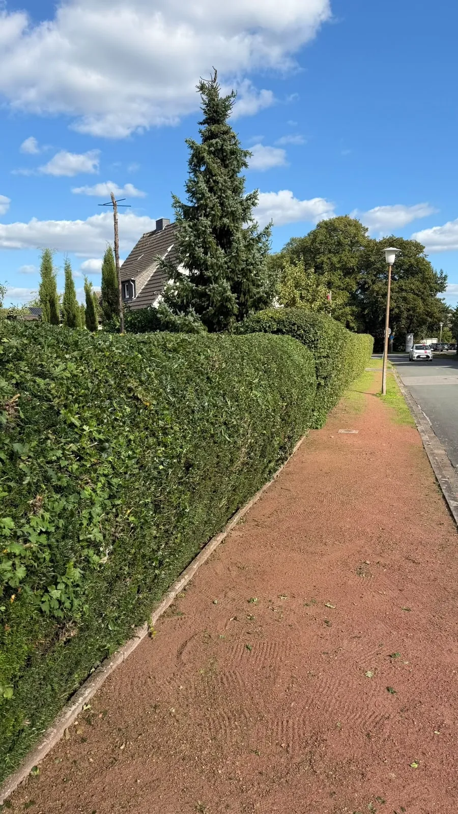 Lange, gerade geschnittene Hecke entlang eines rot gepflasterten Fußwegs