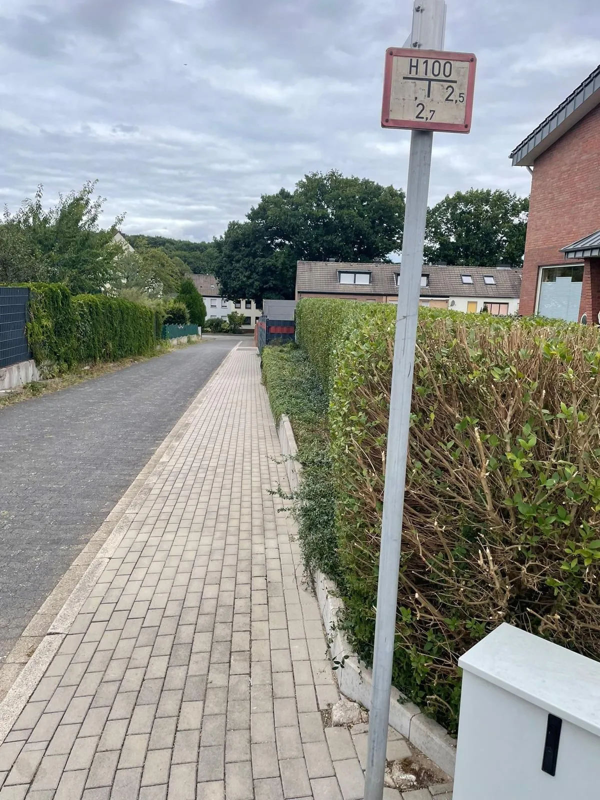 Stark zurückgeschnittene Hecke entlang eines gepflasterten Gehwegs